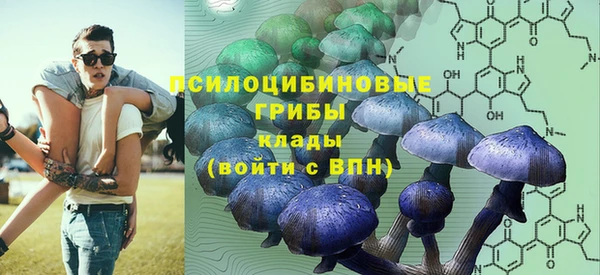 первитин Арсеньев