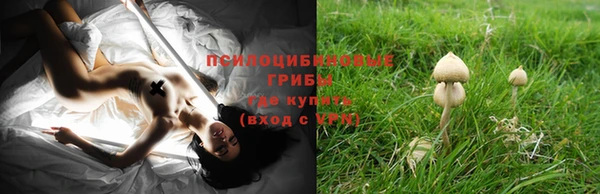 mix Аркадак