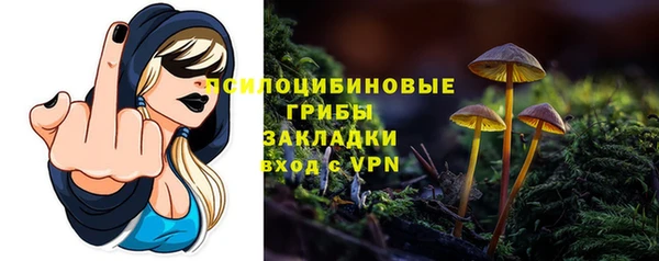 первитин Арсеньев