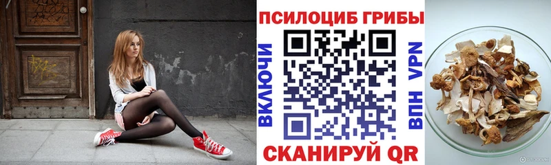 цена   Ступино  блэк спрут tor  Псилоцибиновые грибы Magic Shrooms 